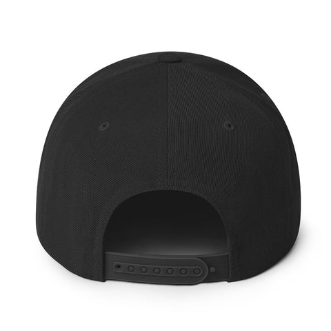 DTLR SUPPLY - Black Snap Back Hat